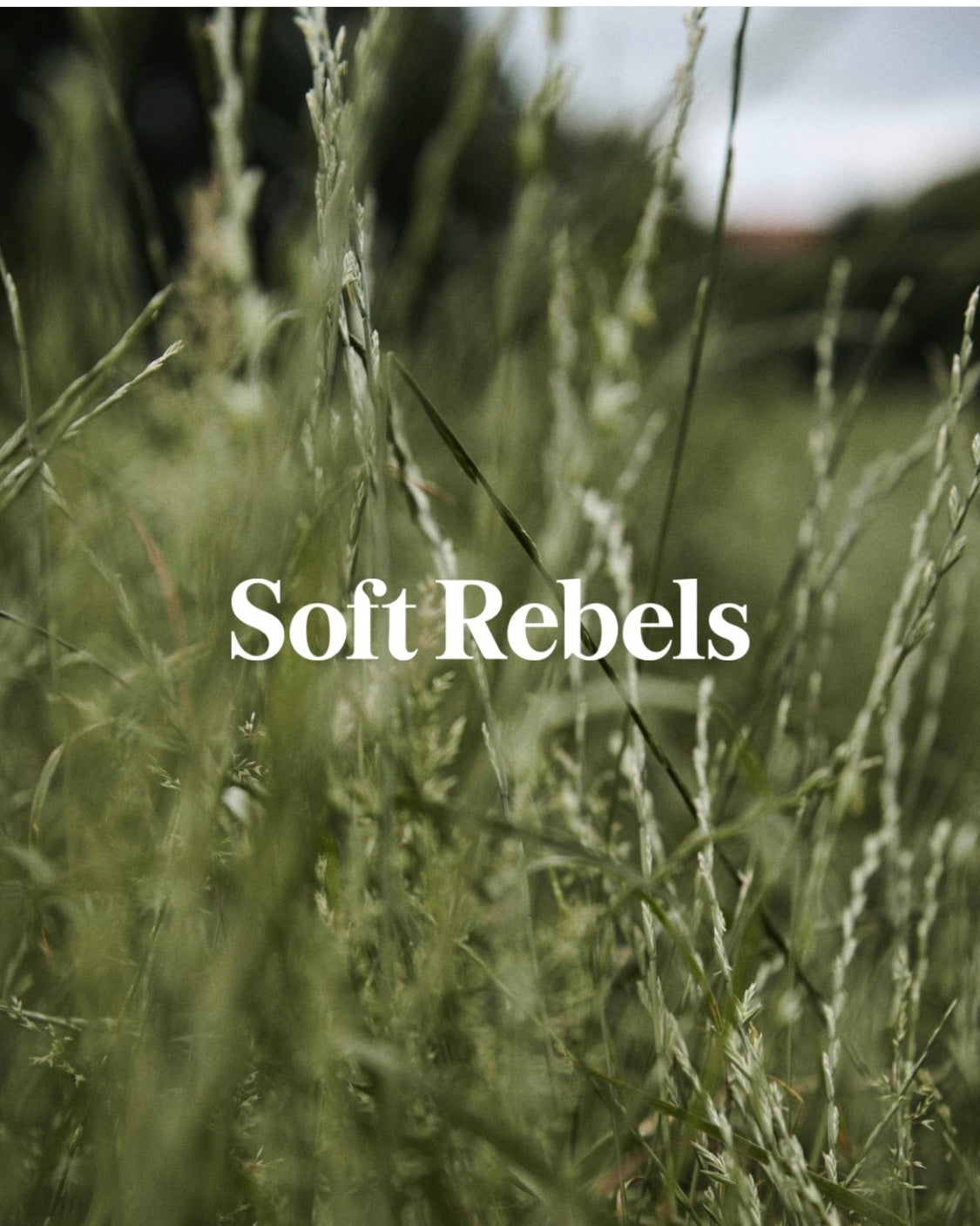 Soft Rebels