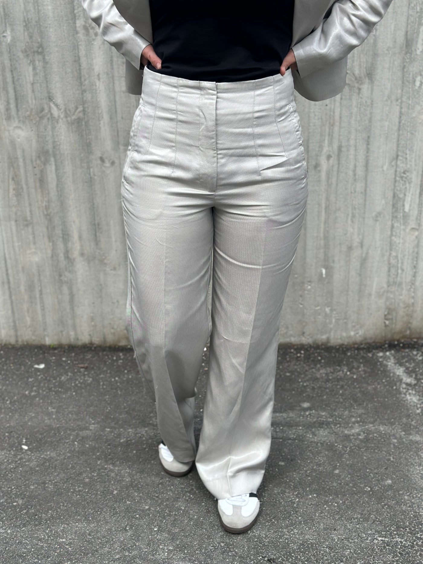 Natula Pant, Silver